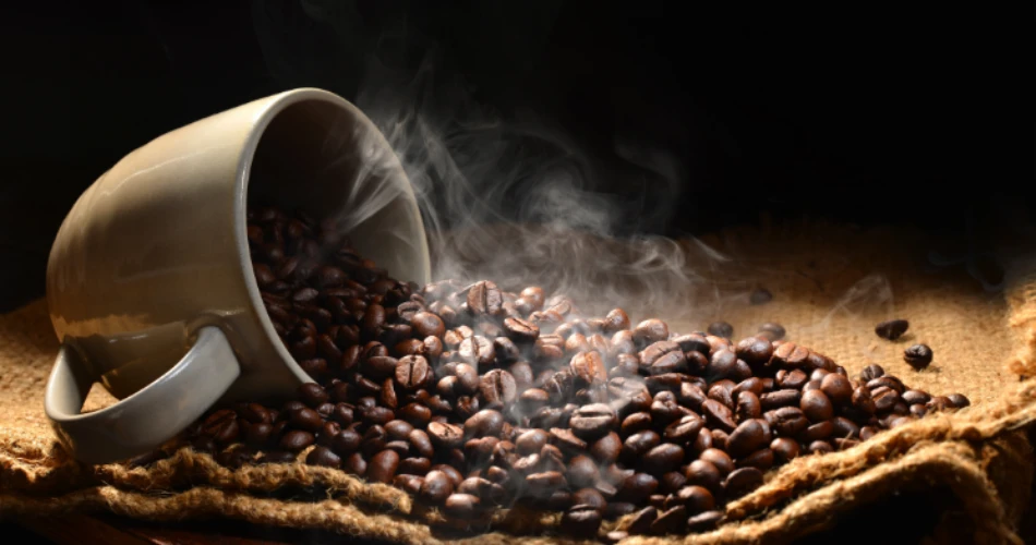 Discover Karachi: 10 Must-Visit Cafés for Every Enthusiast