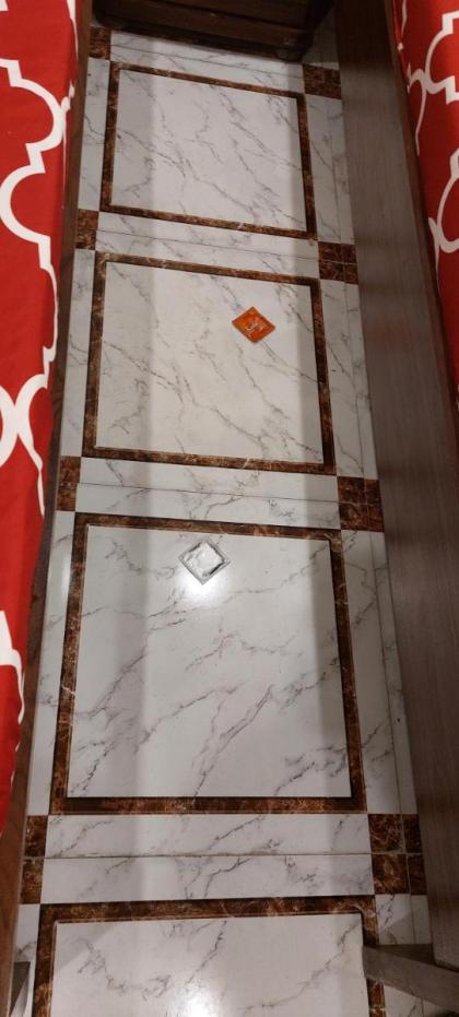 Palace In Guest House - image 9