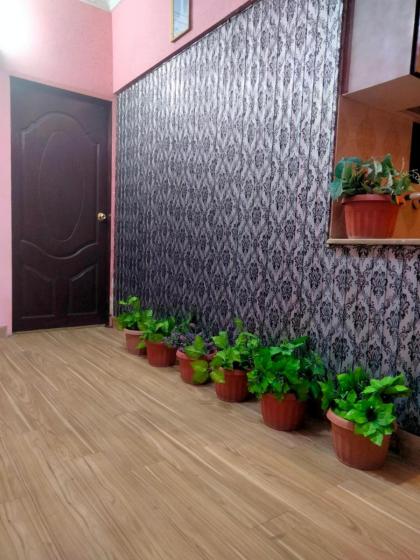 Entire Furnished Two bedrooms Apartment Ground Floor with kitchen - image 13