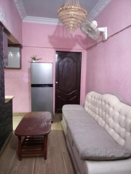 Entire Furnished Two bedrooms Apartment Ground Floor with kitchen - image 22