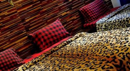 Couples Friendly Guest House - image 9
